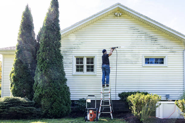 Pressure Washing Services for Businesses in Woodland, WA