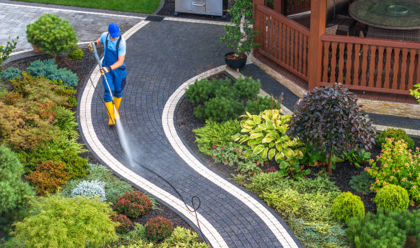 Best Sidewalk Pressure Washing  in Woodland, WA